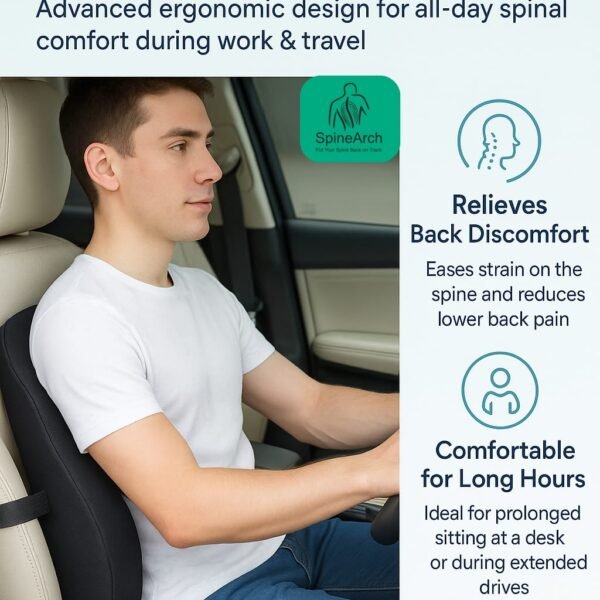 BACK REST PILLOW (UNIVARSAL size)