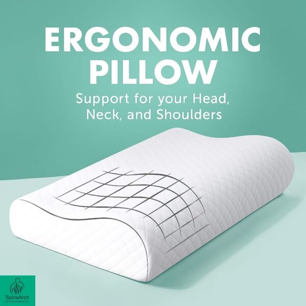 Neck Rest S Curve Pillow (Universal Size)
