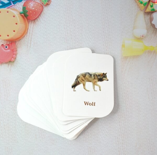Animal Print Playing & Learning Cards - Image 6