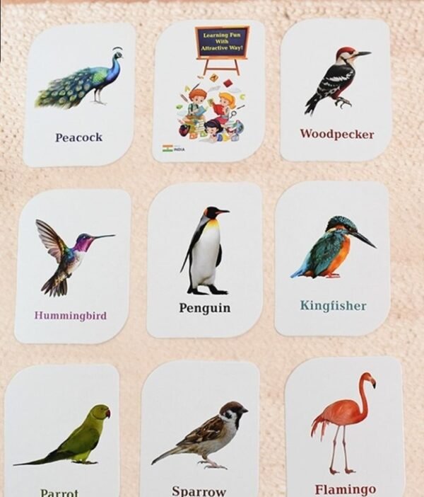 Print Playing & Learning Cards - Image 9