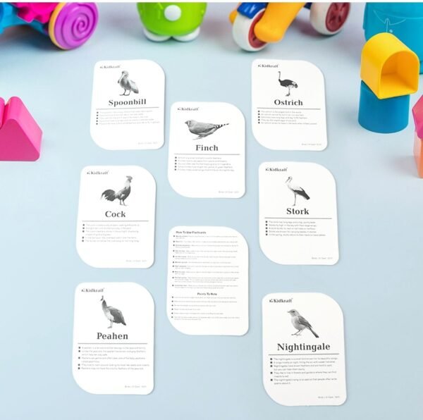 Print Playing & Learning Cards - Image 8