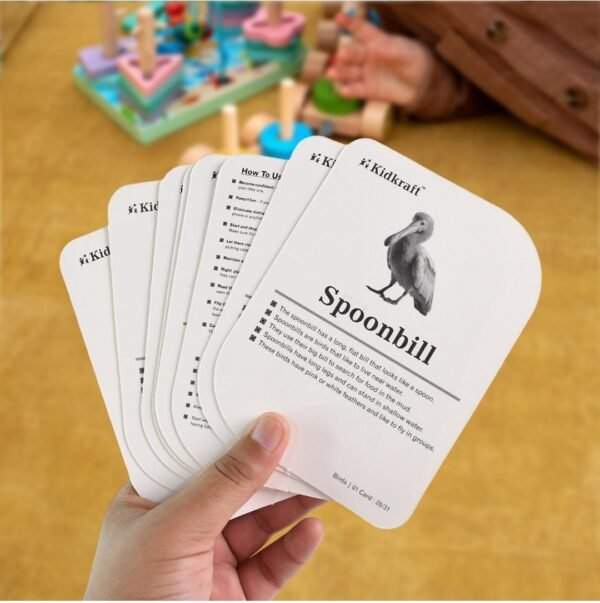 Print Playing & Learning Cards - Image 7