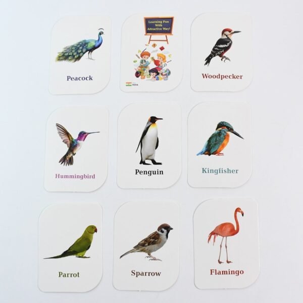 Print Playing & Learning Cards - Image 6