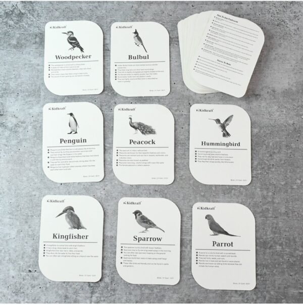 Print Playing & Learning Cards - Image 5